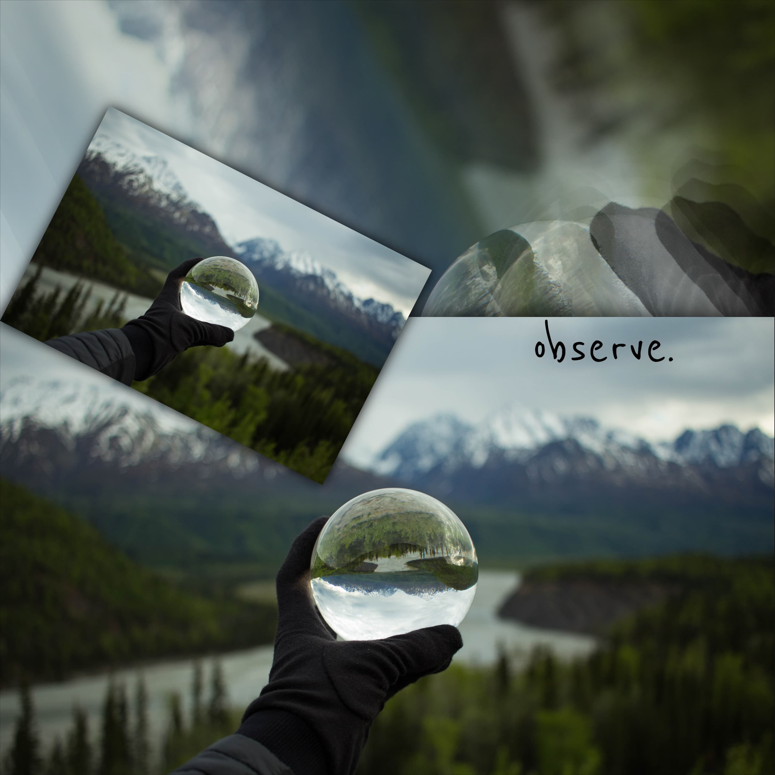 observe.